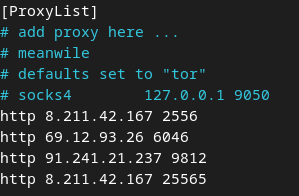 06-proxychain-usage